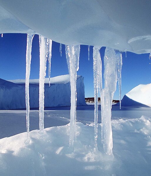 Ice crystals at Colbeck Archipelago, Mac.Robertson Land