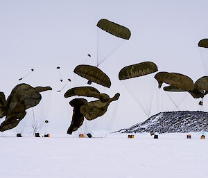 Parachutes landing on ground