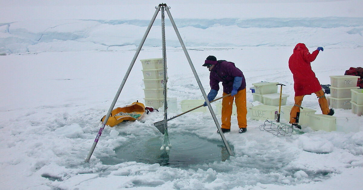 Fuel spills cause longterm impact in Antarctic sediments Australian