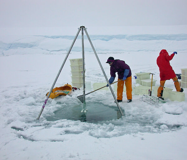 Two Scientists lower trays of sediment through a hole in the sea ice to a diver waiting on the seabed.
