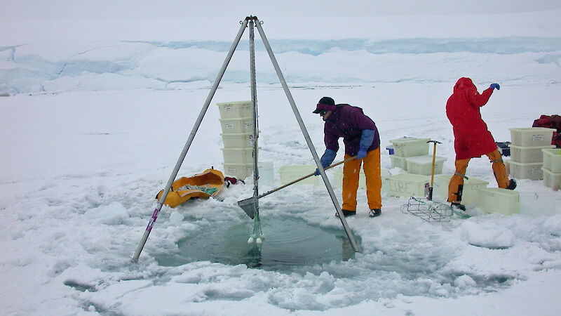 Two Scientists lower trays of sediment through a hole in the sea ice to a diver waiting on the seabed.
