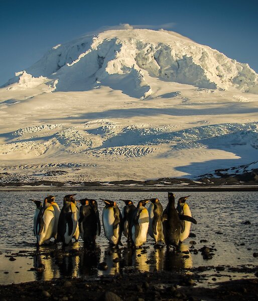 Volcano on sub-Antarctic island