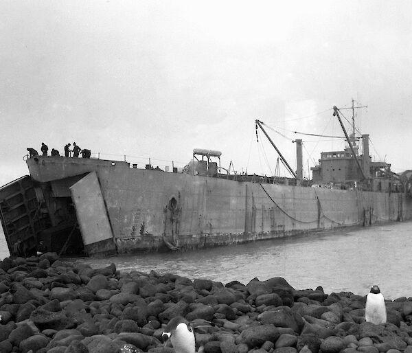 Black and white photo of a ship on a beach with a front door down.