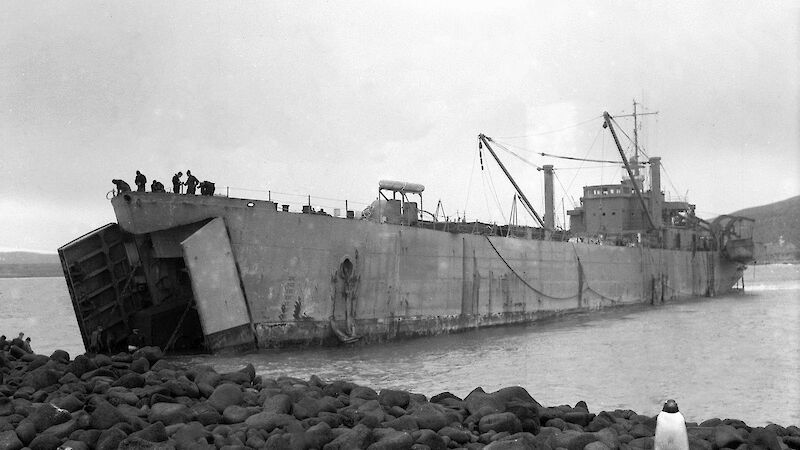 Black and white photo of a ship on a beach with a front door down.