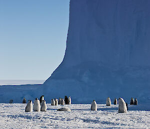 Photo of Antarctica