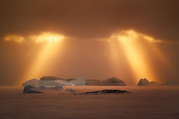 Crepuscular rays of late afternoon sun shining through a cloud layer over grounded icebergs