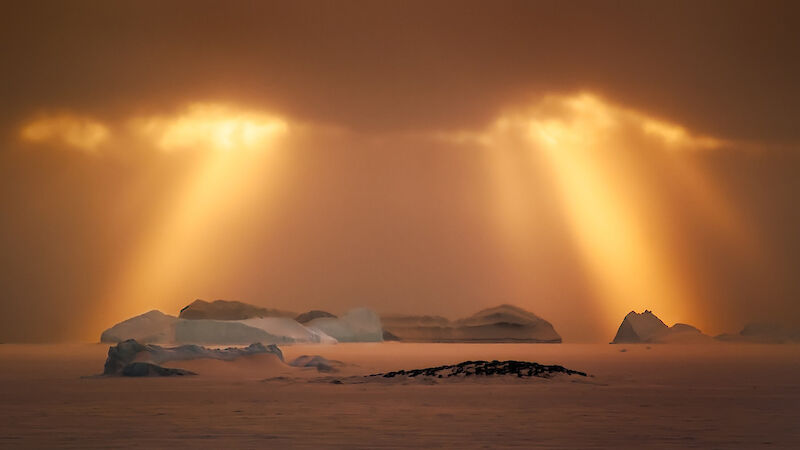 Crepuscular rays of late afternoon sun shining through a cloud layer over grounded icebergs