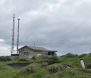 The clean air laboratory on Macquarie Island which houses a range of atmospheric instruments for various projects, both inside and outside.