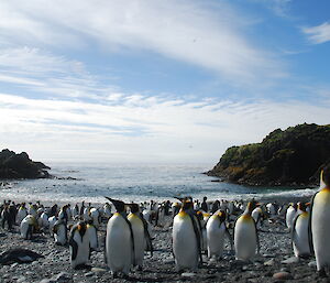 Cloud formations above Macquarie Island.