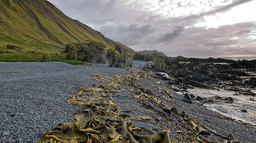 Cloud formations above Macquarie Island.