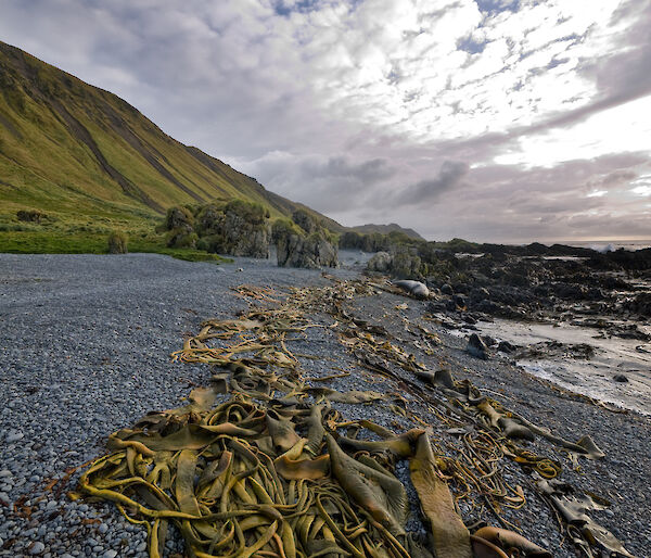 Cloud formations above Macquarie Island.