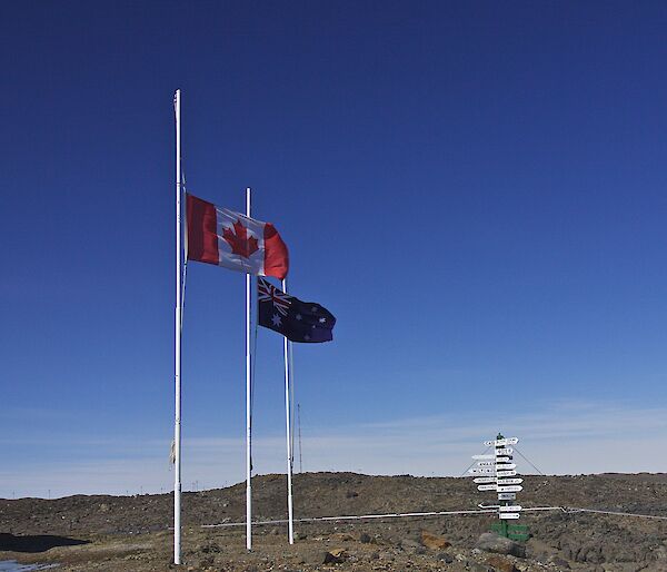 Flags at half mast