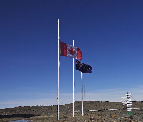 Flags at half mast