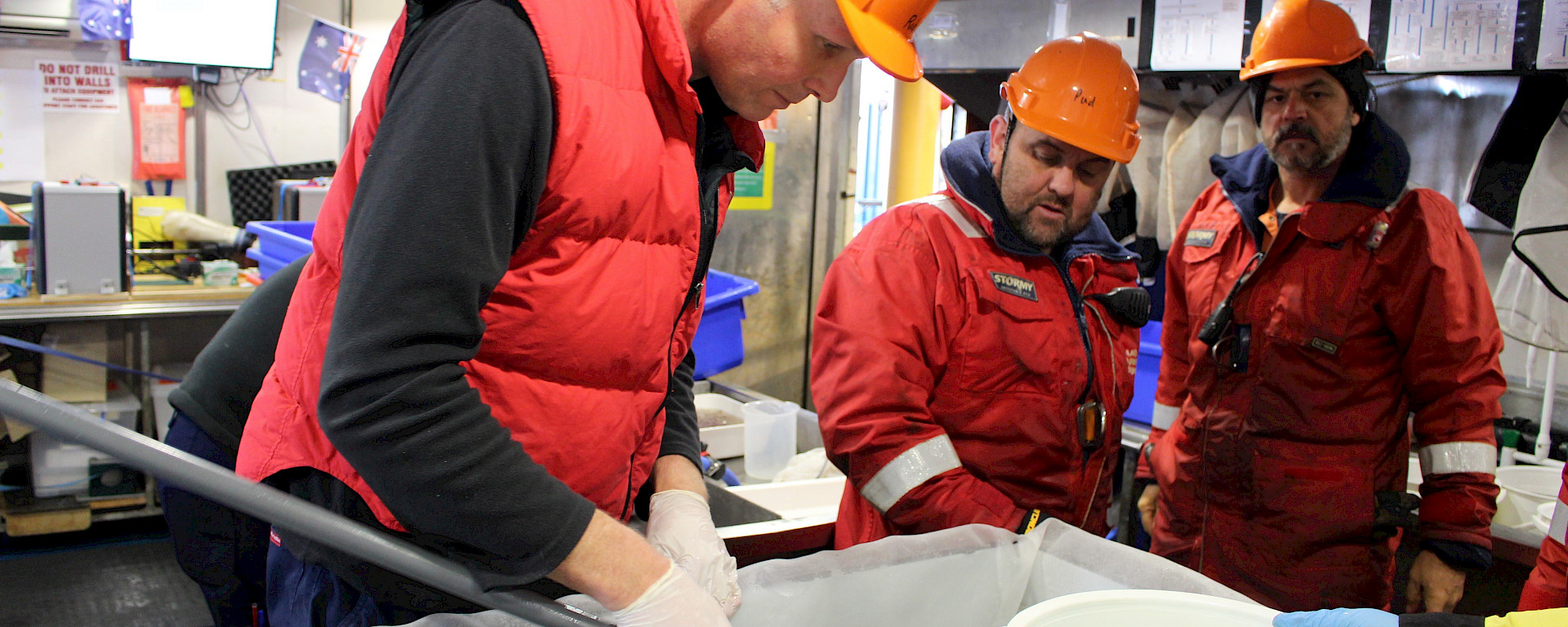 Rob King selects healthy animals from the catch to use in experiments.