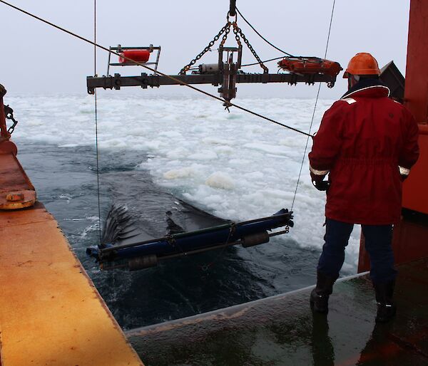 Pulling the Rectangular Midwater Trawl net in behind the ship