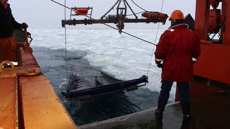 Pulling the Rectangular Midwater Trawl net in behind the ship