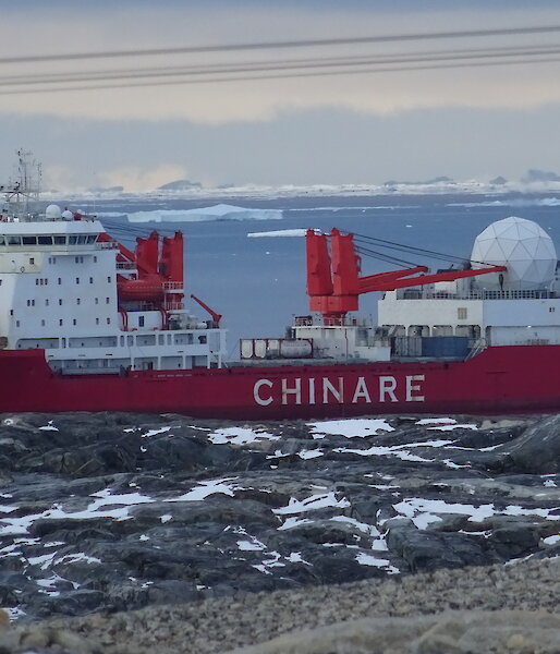Xuelong at Casey