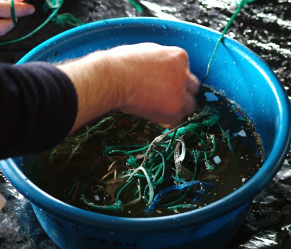 Photo of marine debris