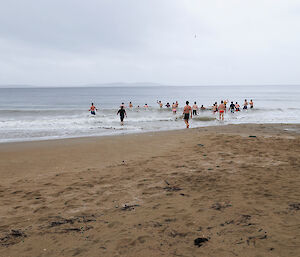 Kingston Antarctic Division staff swim at Blackmans Bay