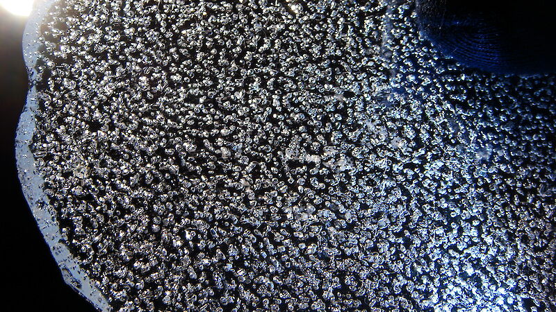 Close up of bubbles trapped in Antarctic ice core