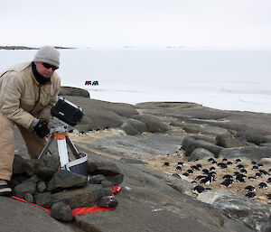 Man working on remote monitoring camera with nesting penguins in background.