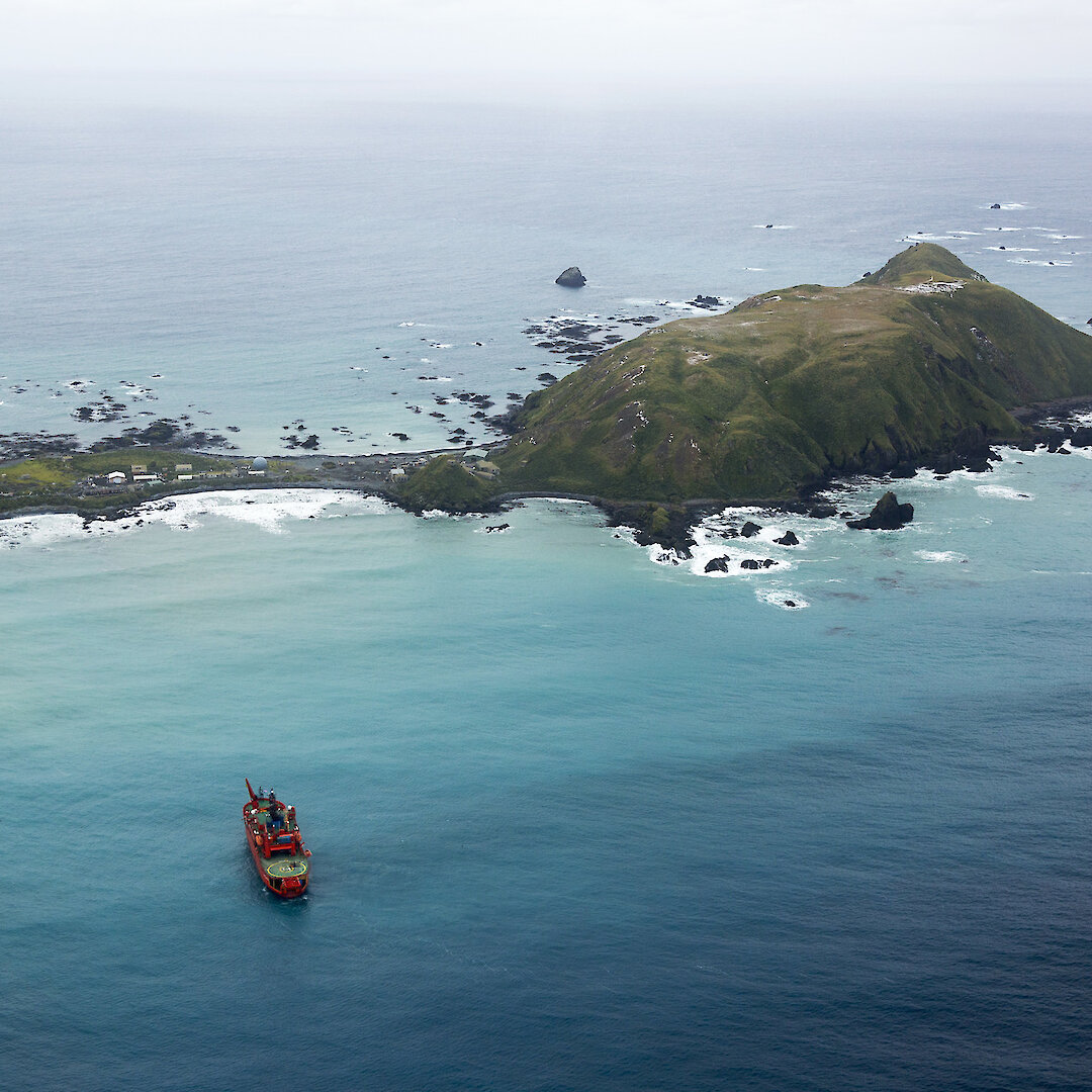 Future of Macquarie Island — Australian Antarctic Program (News 2016)