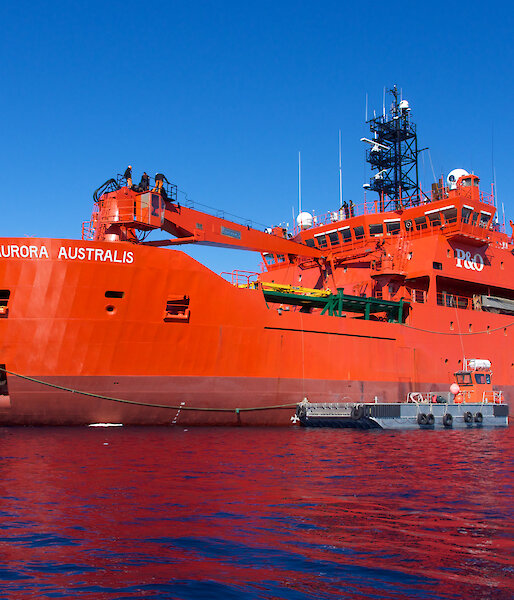 Scientists on board Australia’s icebreaker Aurora Australis will collect krill from the Southern Ocean