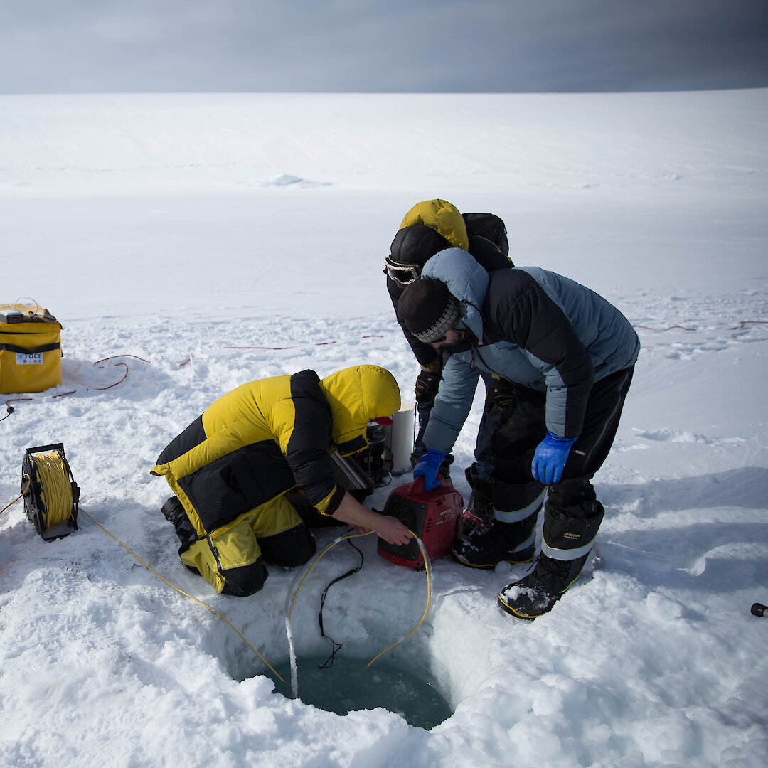 antarctica news explorer antarctica news explorer