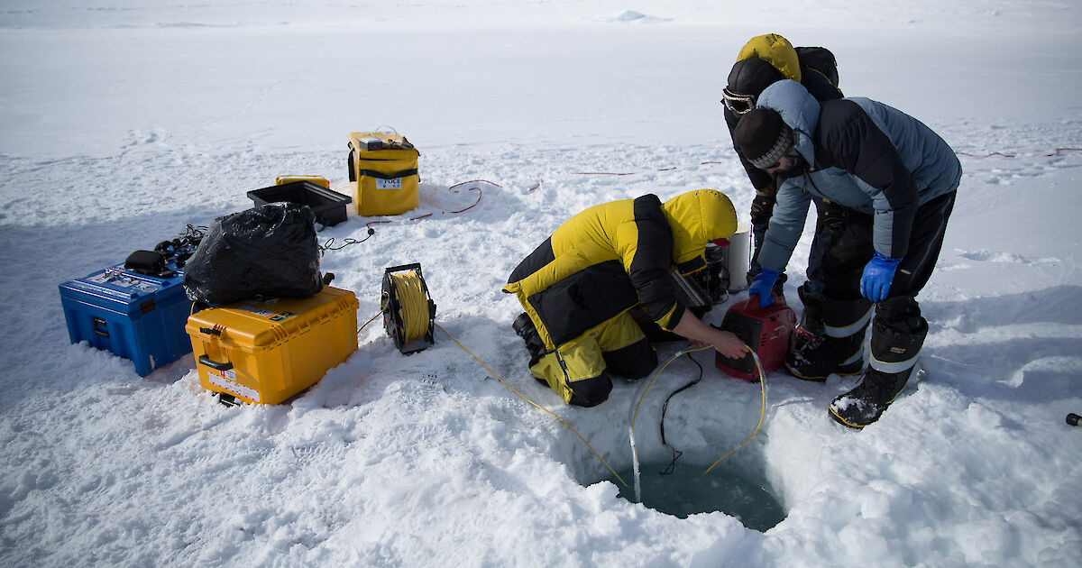 Rare Glimpse Into Antarctic Underwater World Australian Antarctic 