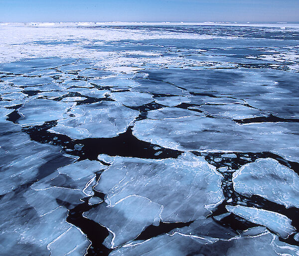 Sea ice