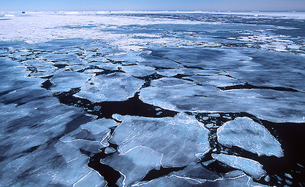 Sea ice