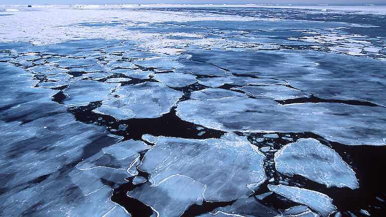 Sea ice