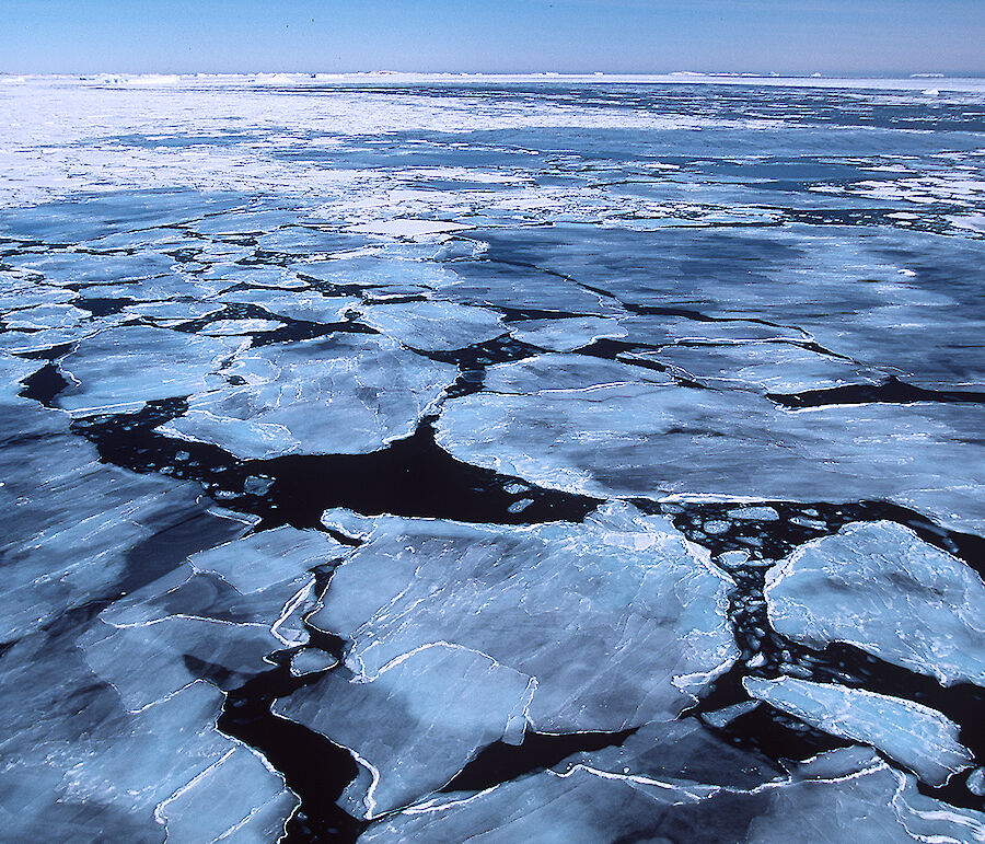 Sea ice