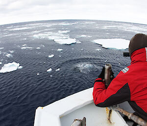 Scientists at work spotting whales in the Southern Ocean