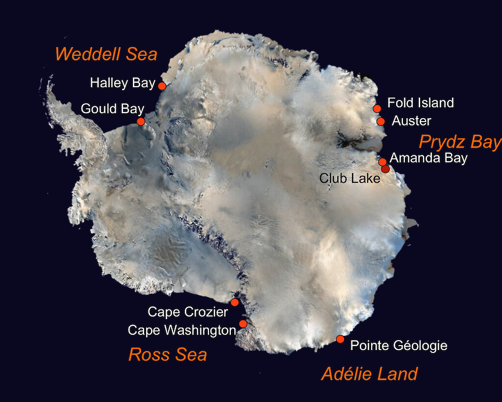 Emperor penguins — survival through the ages — Australian Antarctic