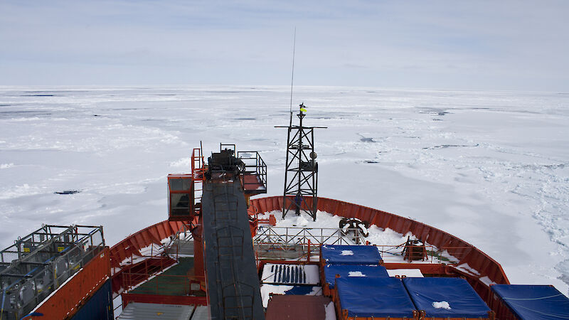 Looking over the bow of the ship Aurora Australis at the pack ice