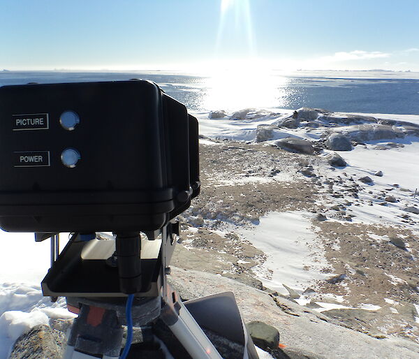 An Adélie penguin colony is watched over by a remote camera