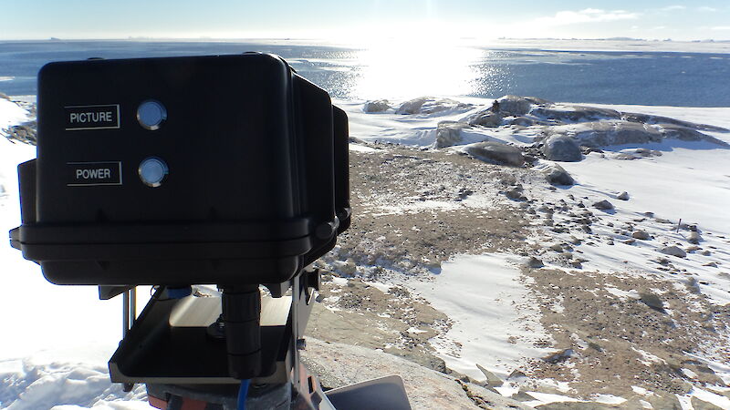 An Adélie penguin colony is watched over by a remote camera