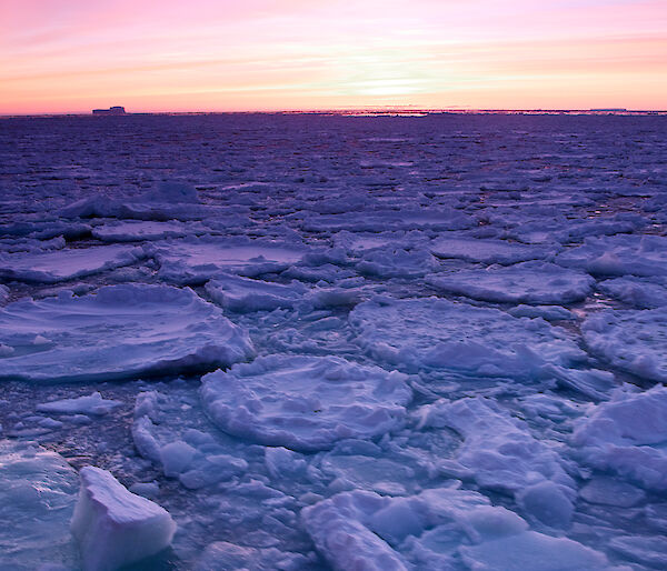 Pancake ice in the Southern Ocean, 2012