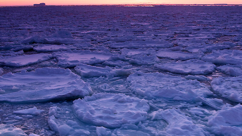 Pancake ice in the Southern Ocean, 2012