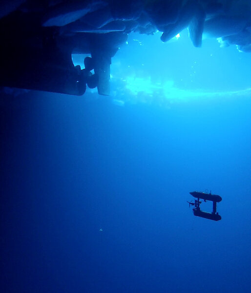 An autonomous underwater vehicle (AUV) at work under the sea ice