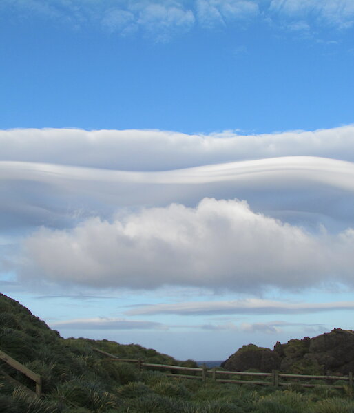 Lenticular clouds over Macquarie Island