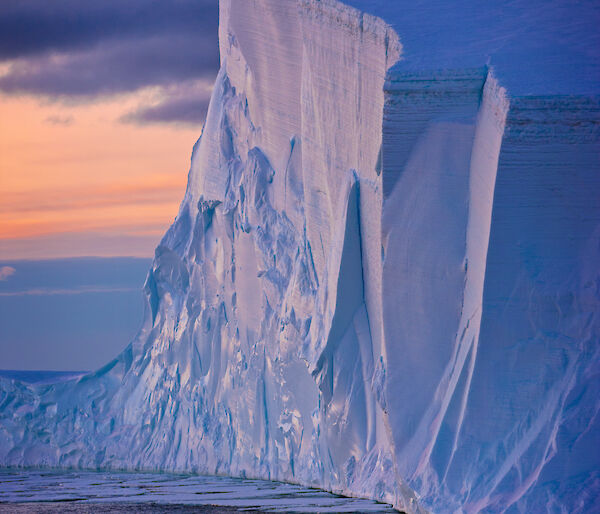 Iceberg and penguins