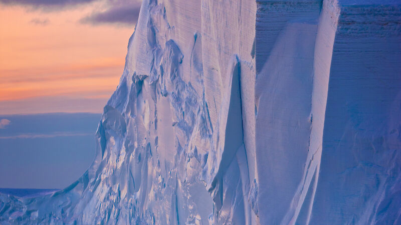 Iceberg and penguins