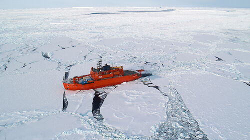 The Aurora Australis in sea ice