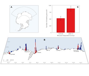 Graphic showing the location of breeding colonies counted during a recent study, compared with a study conducted 30 years ago.