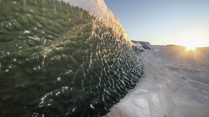 Sunlight glistens of an Antarctic iceberg