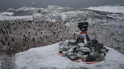 An automated camera sits on top of rocks overlooking an Adelie penguin colony near Australia’s Casey station.