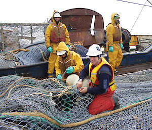 A scientist attaches a camera to trawl gear during a trial near Heard Island.