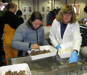 Scientists sample seafloor species collected during deep sea camera trials.